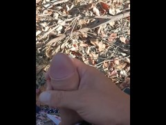 Una pajita en el bosque