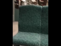 Short Masturbation in train