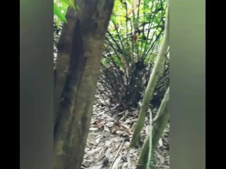 Indian srilankan girl naked and standing pee on public nature