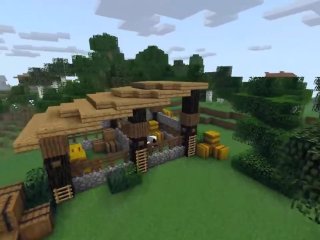 stable, amateur, minecraft, easy