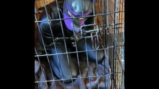 Awful Puppy Obedience Humiliation In A Bondage Cage And Dildo Sucking Sph