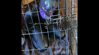 Scarlett Kage bad Puppy obedience - bondage, cage, humiliation, dildo sucking, sph