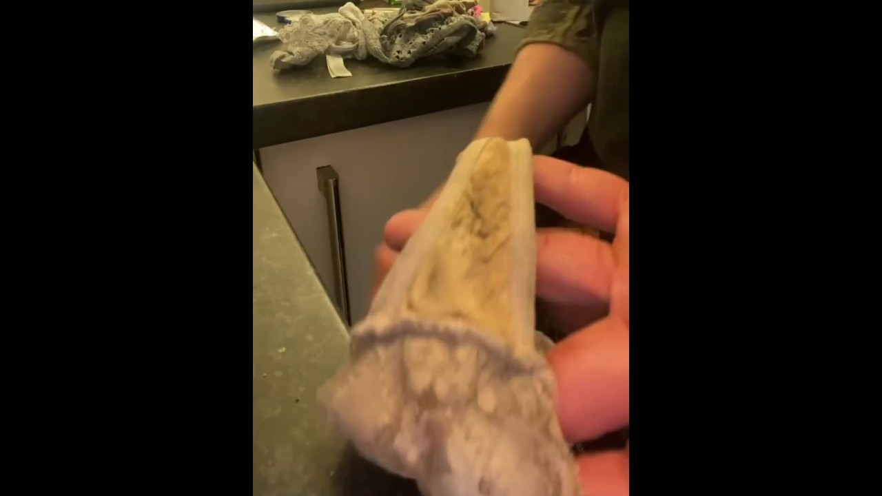 Ваш сын крадёт и нюхает женские трусы, поэтому придётся вас выебать (русский перевод)