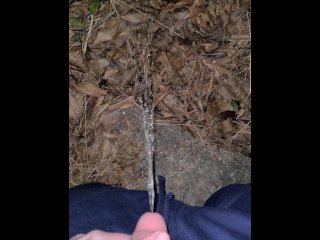 Short Piss (Phone died) 《4K》