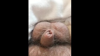 我的阴茎小吗？