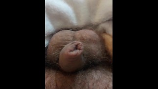 这个阴茎对你来说很小吗？（请在评论中回答）