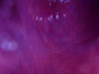 Internal View Large Bad Dragon Rex Fucks And Cums In My Ass Twice