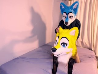 verified couples, cumshot, fursuit, cute sex