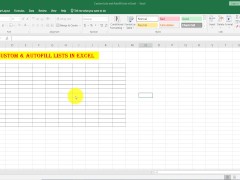 Custom List And Autofill List In excel
