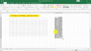 Aangepaste lijst en automatisch invullen lijst in Excel