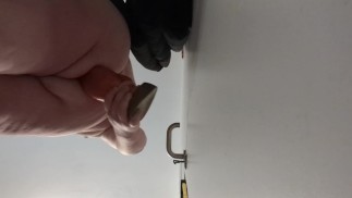 好色的小狗和一个胖结