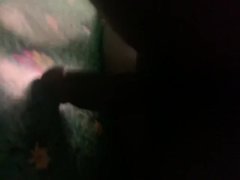 Introduci