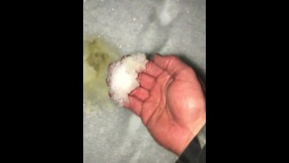 享受我用小便做的这片黄雪的味道