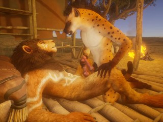 Wild Life Hyna et Lion Gay Furry