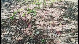 在和同学一起旅行时，我不得不停下来小便——她再也受不了了，在地板上撒尿
