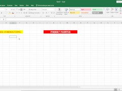 Format Painter in Excel - Screenshot 1 of 16 - Asian