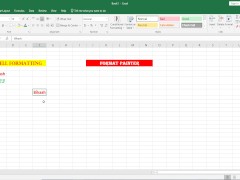 Format Painter in Excel - Screenshot 10 of 16 - Bengali Bhabi