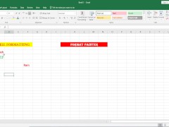 Format Painter in Excel - Screenshot 11 of 16 - Asian