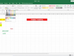 Format Painter in Excel - Screenshot 13 of 16 - Bengali Boudi