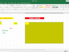 Format Painter in Excel - Screenshot 14 of 16 - Bengali Couple