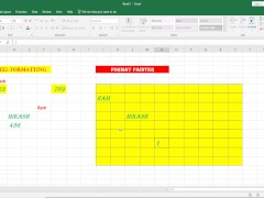 Format Painter in Excel - Screenshot 15 of 16 - Bengali Bhabi