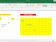 Format Painter in Excel - Screenshot 16 of 16 - Asian
