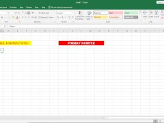 Format Painter in Excel - Screenshot 2 of 16 - Bengali