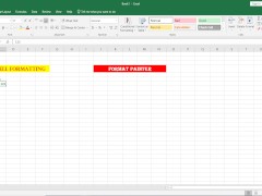 Format Painter in Excel - Screenshot 4 of 16 - Bengali Couple