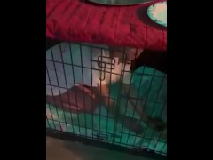Public Japanese slut locked up in cage my pet