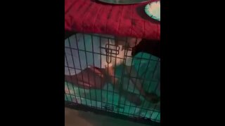 Openbare Japanse slet opgesloten in kooi mijn huisdier