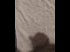 Shadow cummer… - Screenshot 5 of 16 - Shadow