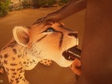 Hunter did not return cheetah to zoo, instead he passionately fucked her Wild Life