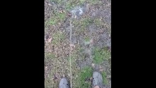 在雨中撒尿