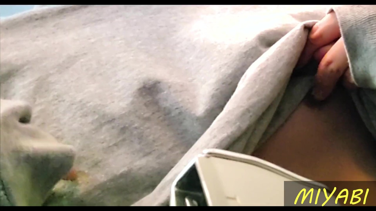 Hentai Amateur Submissive Man Nipple Play in Airplane~public Masturbation~  - Pornhub.com