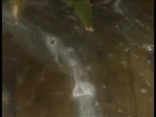 Black guy in the bath tub drinks champagne thru his blonde fuck slut's pussy