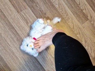 Wifey Crushs Cat Toy with her Feet