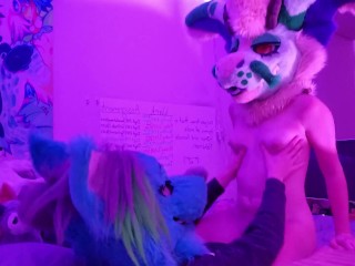 Horny Furries Fuck in College Dorm and almost get Caught