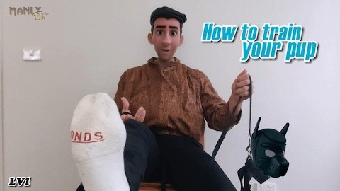 HOW TO TRAIN YOUR PUP - THE COMPLETE GUIDE TO PUP PLAY LESSON 1 BASICS - INTRODUCTION TO YES REWARDS