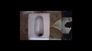 Orinar de un jovencito, pipi, orinar, baño