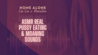 12 MINUTOS COMPLETOS de ASMR Real Pussy Eating Moaning Orgasm Sounds (looped) - Droga, ela sendo comida!!