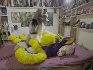 softsuit, wolf, cosplay, kink