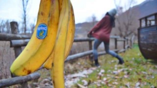I Cheated On My Girlfriend By Slipping On A Banana Skin
