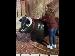 Riding the black bull