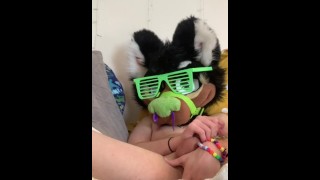 Furry fucks himself with dildo while masturbating with a toy pussy.