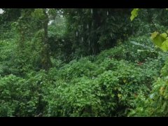 test video upload - Screenshot 11 of 16 - Dp