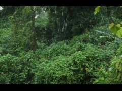 test video upload - Screenshot 14 of 16 - Dp