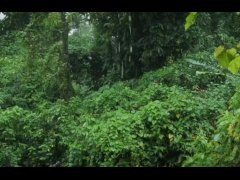 test video upload - Screenshot 3 of 16 - Anal