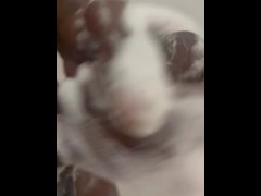 Showertime - Screenshot 15 of 16 - Bbd