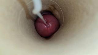 Suck my dick and swallow a huge load of sticky cum POV
