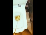 Peeing with a creampie camera inside the toilet bowl